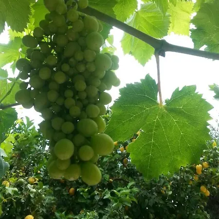 Appartement Katerina Paleokastrítsa