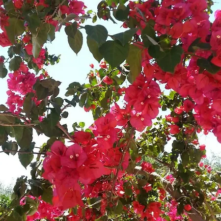 Katerina Appartement